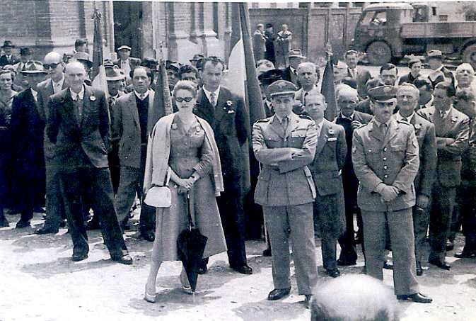 anni50009