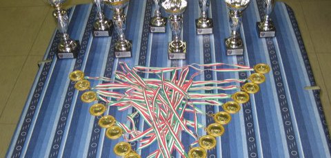 2010 – Torneo Calcio Balilla