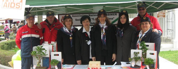 2010 – Bonsai