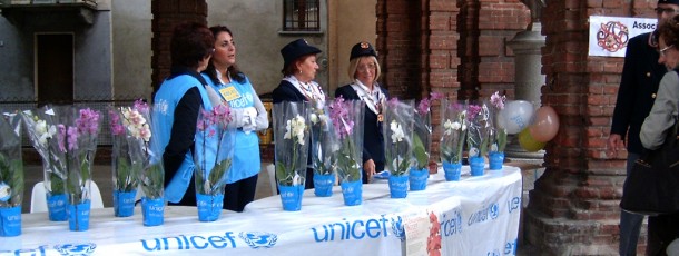 2009 – Orchidee