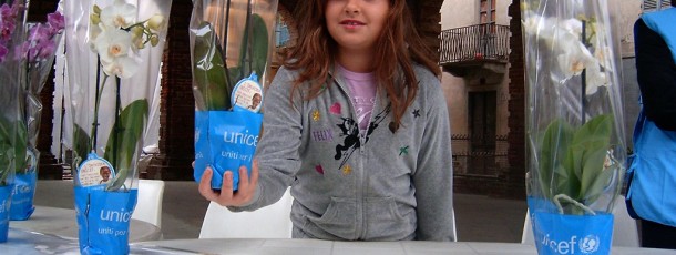 2009 – Orchidee