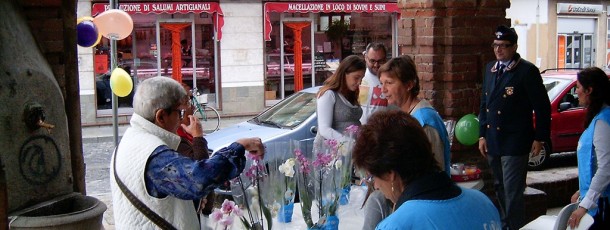 2009 – Orchidee