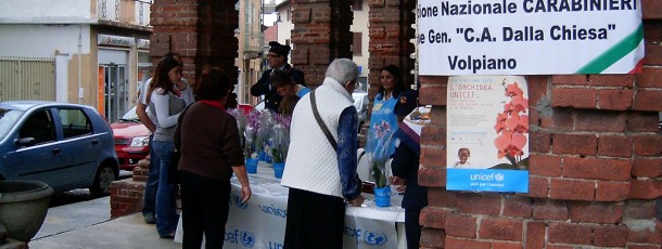 2009 – Orchidee