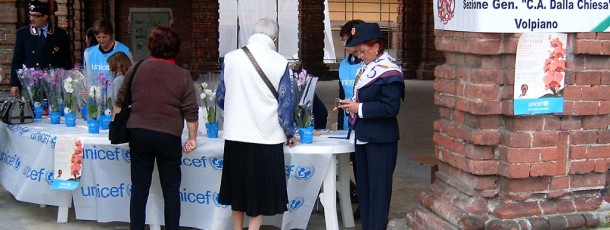 2009 – Orchidee
